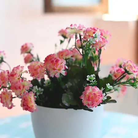 Casa Miralmar Tabaiba * ティアス